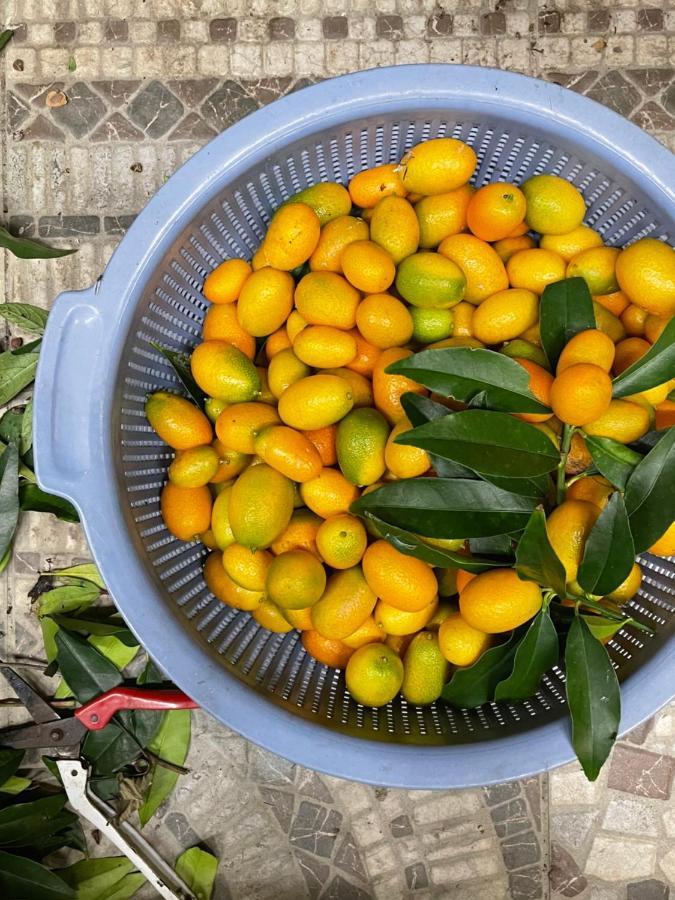Remindful Homestay Quang Sơn Ngoại thất bức ảnh